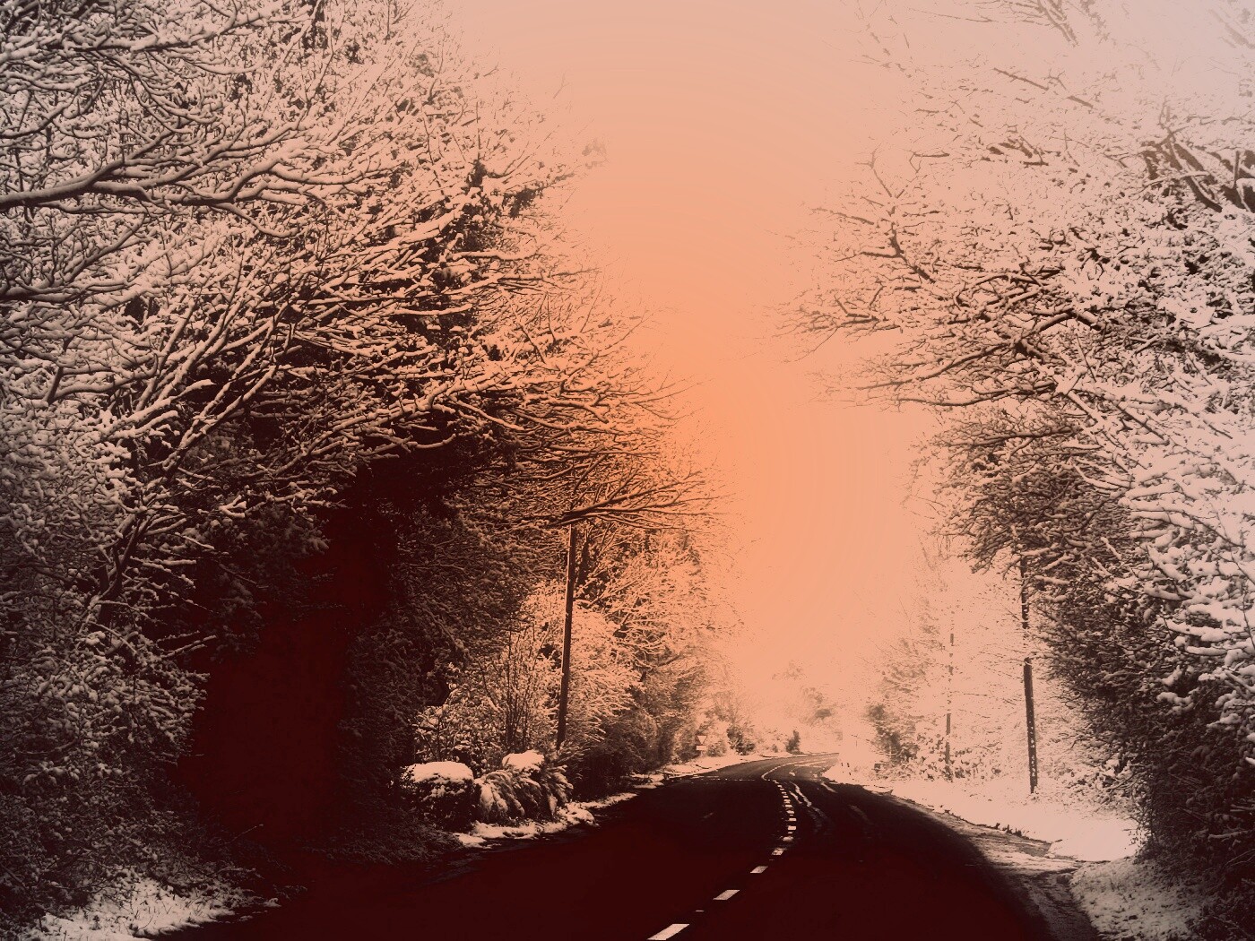 Дорога через зимний лес обои