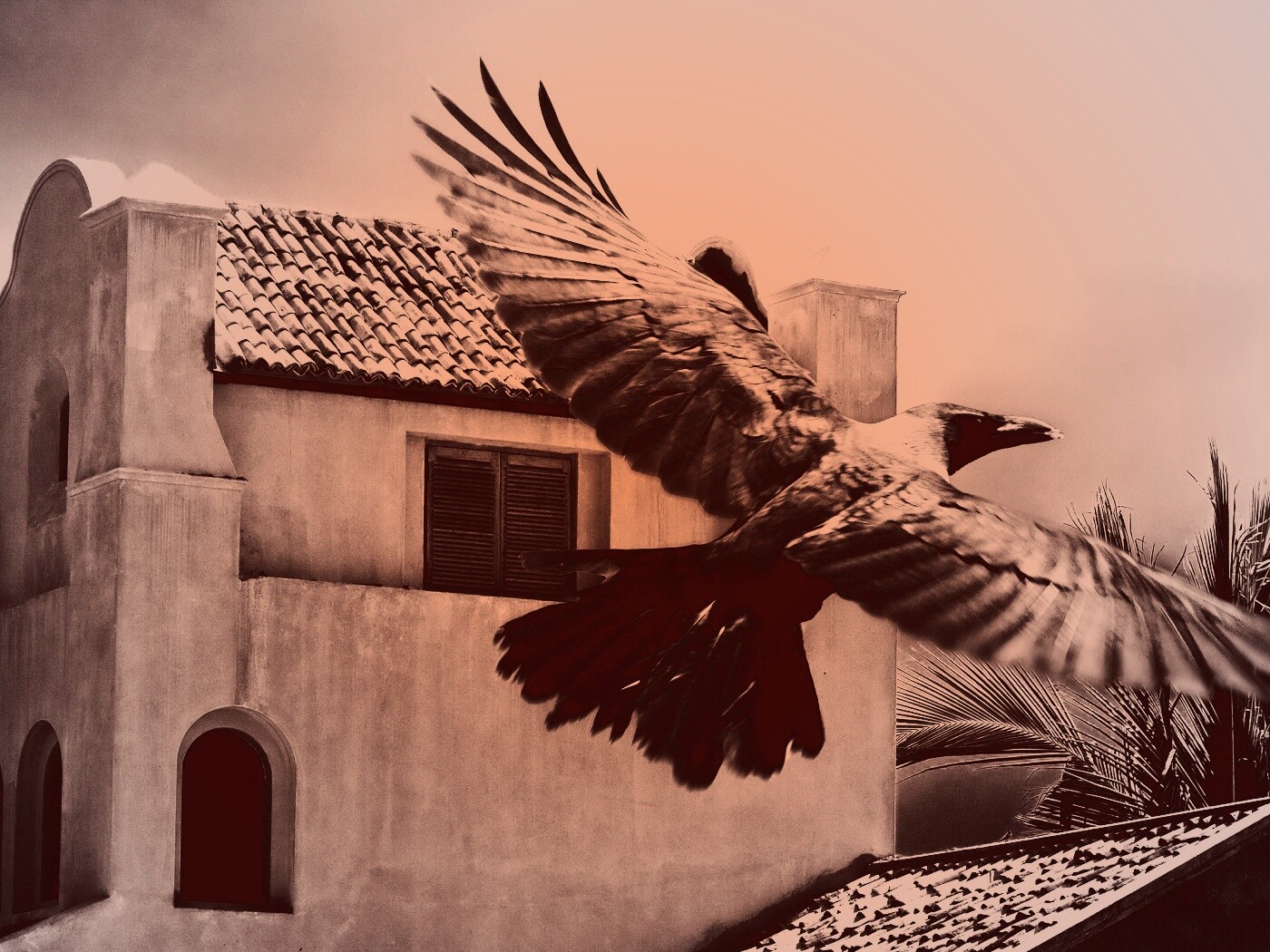 Полёт ворона обои