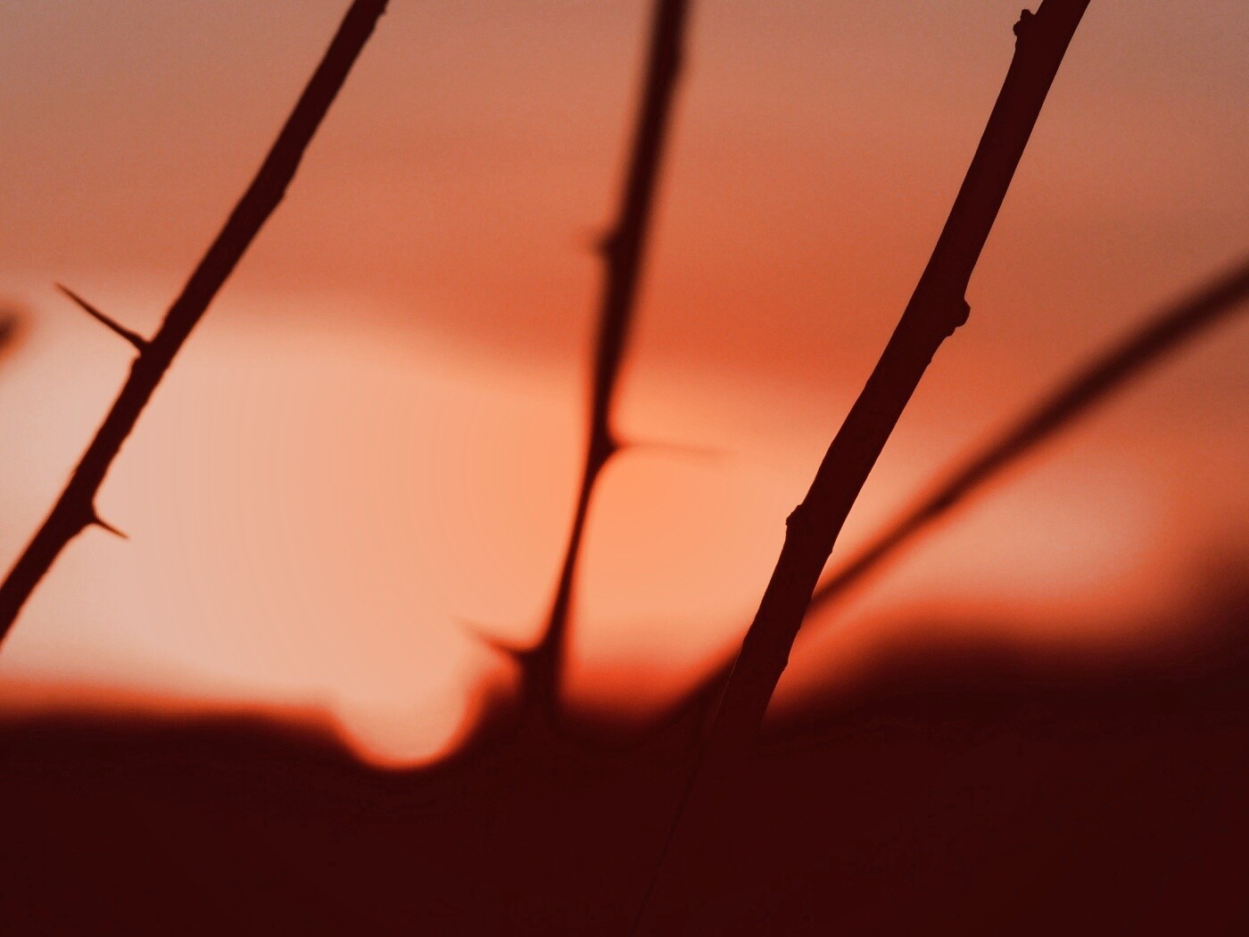 Закат солнца в поле обои