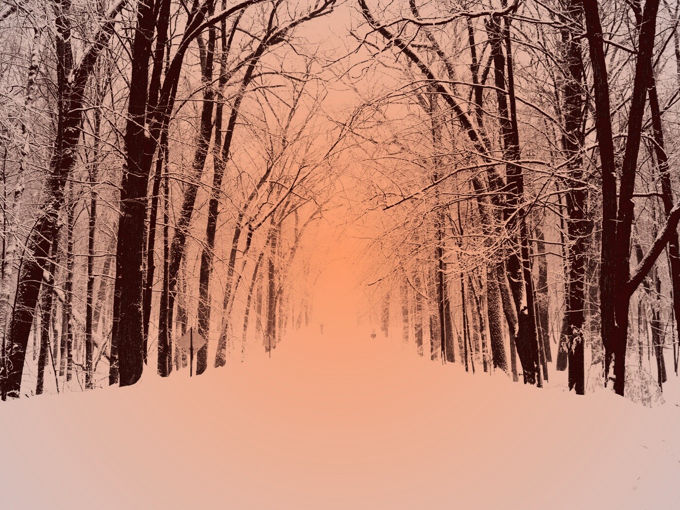 Дорога зимой в парке обои