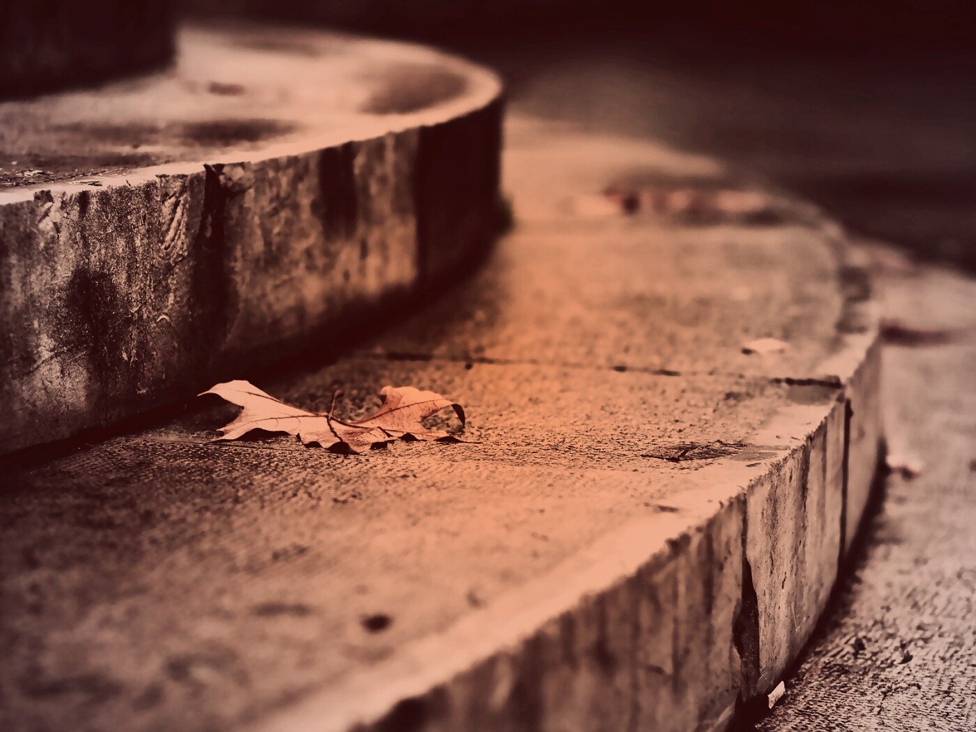 Лист на ступеньках обои