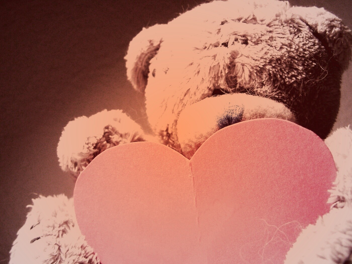 Мишка с сердцечком обои