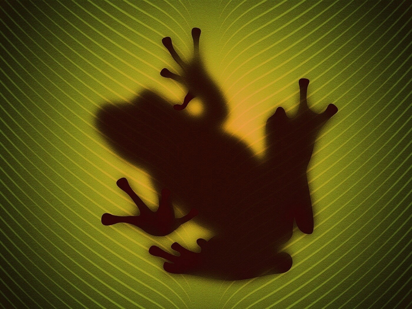 Силуэт лягушки просвечивает сквозь зеленый лист обои