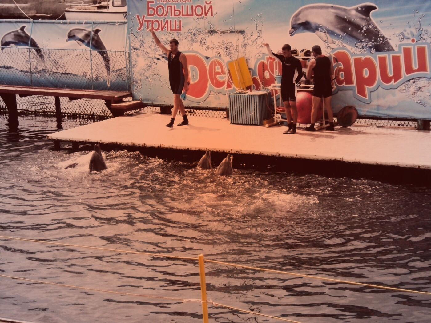 Утро в дельфинарии обои
