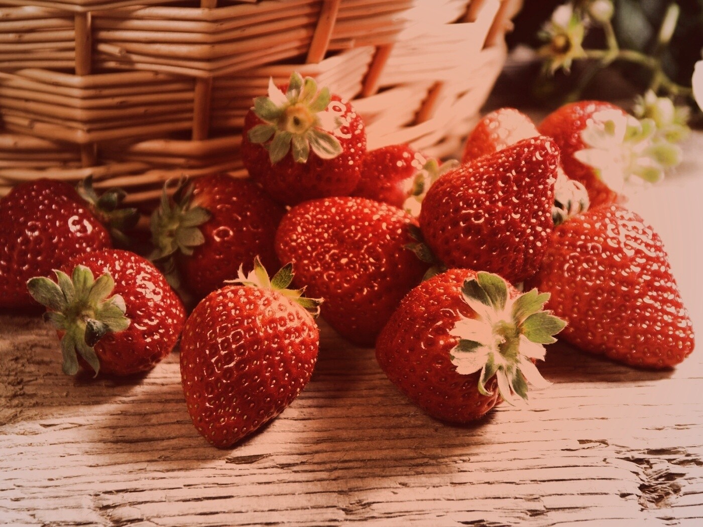 Клубничка обои