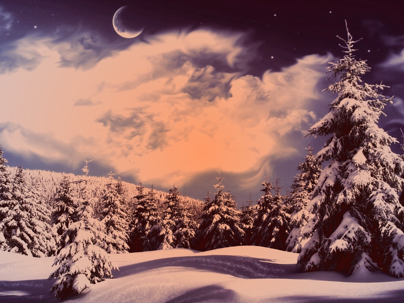 Зимний еловый лес обои