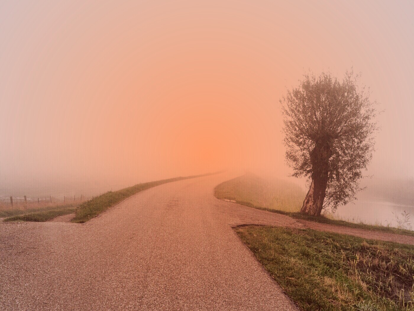 Дорога растворяется в тумане обои