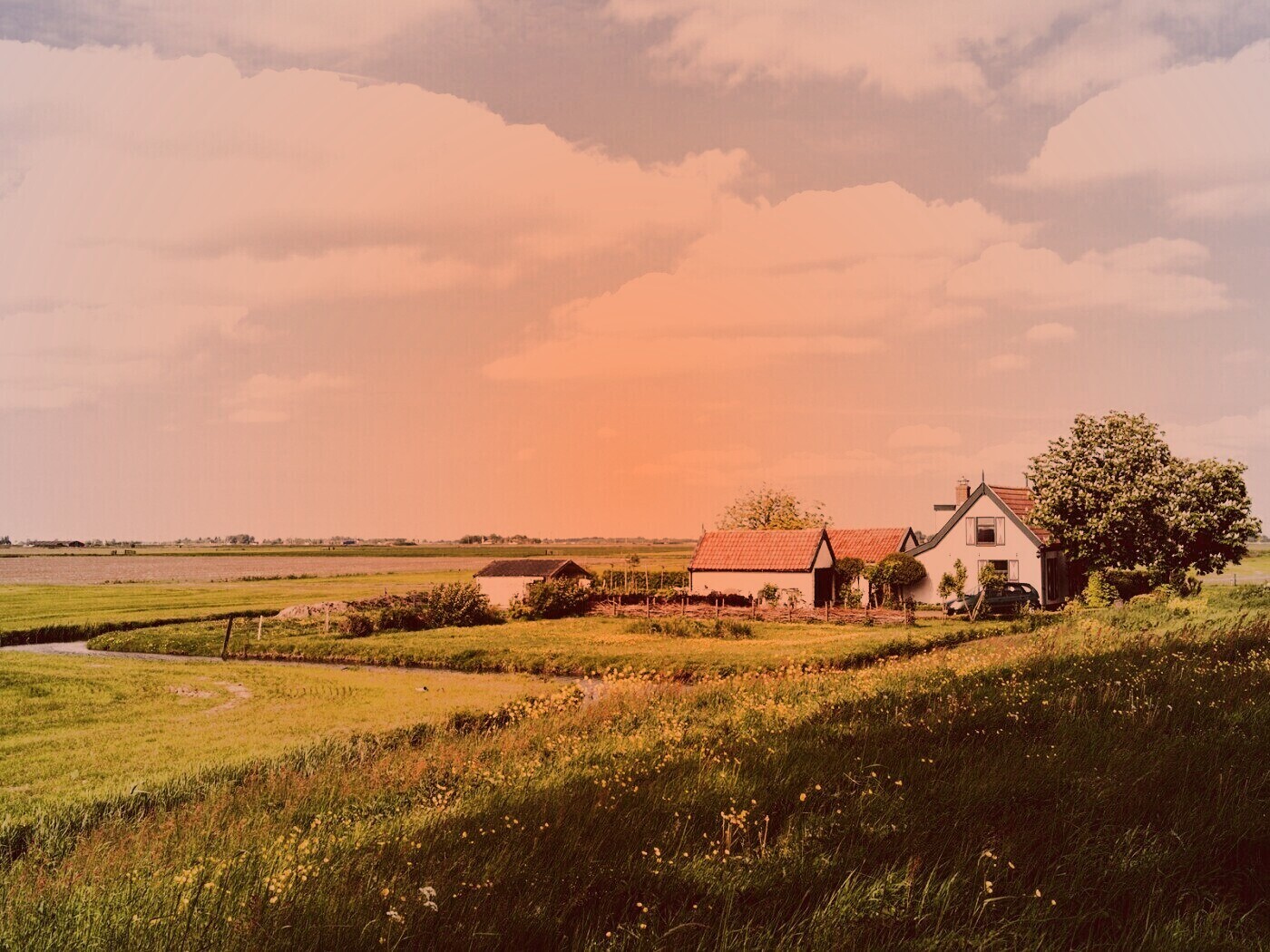 дом на лугу обои