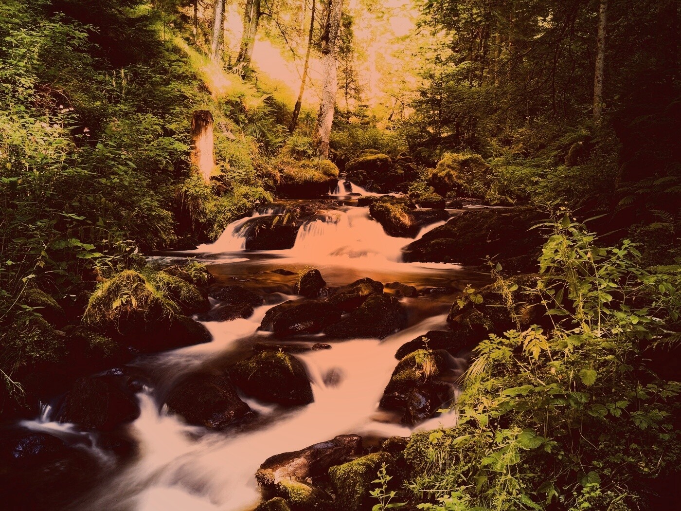 Живописный лесной водопад обои