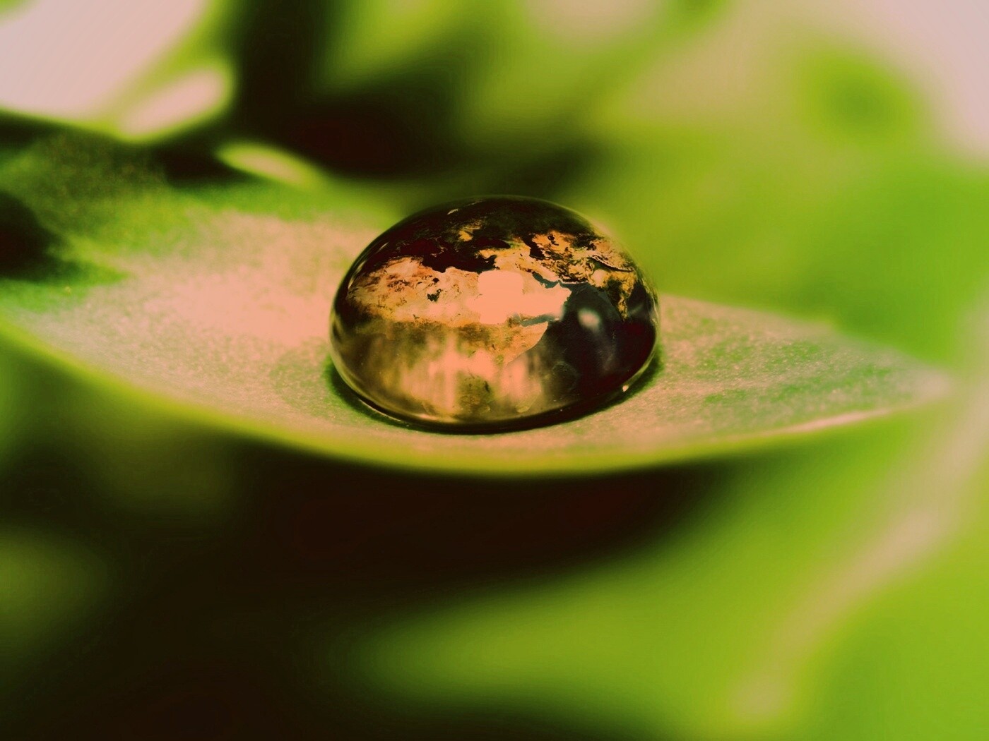 Целый мир в капле воды обои