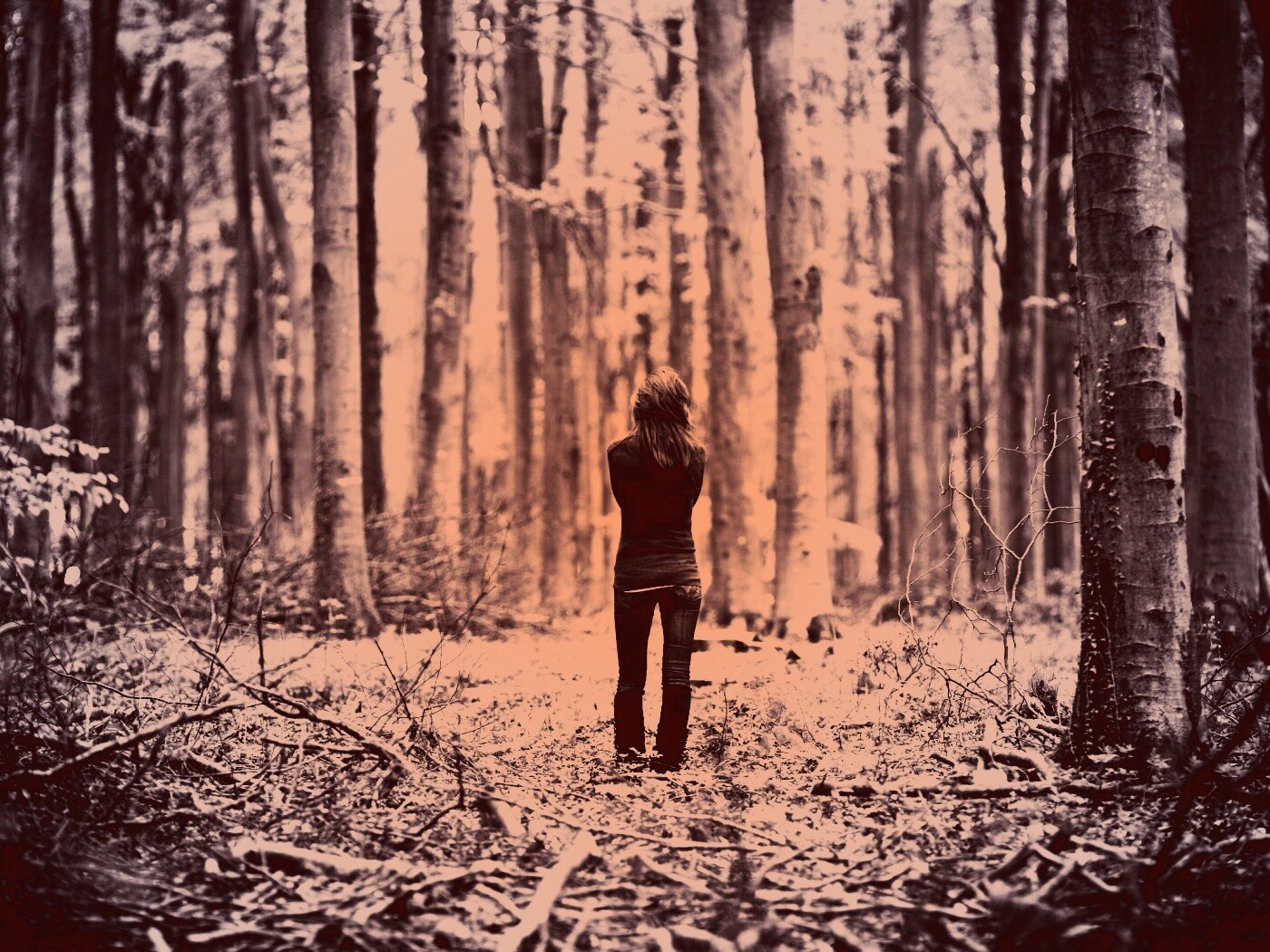Одна в лесу обои