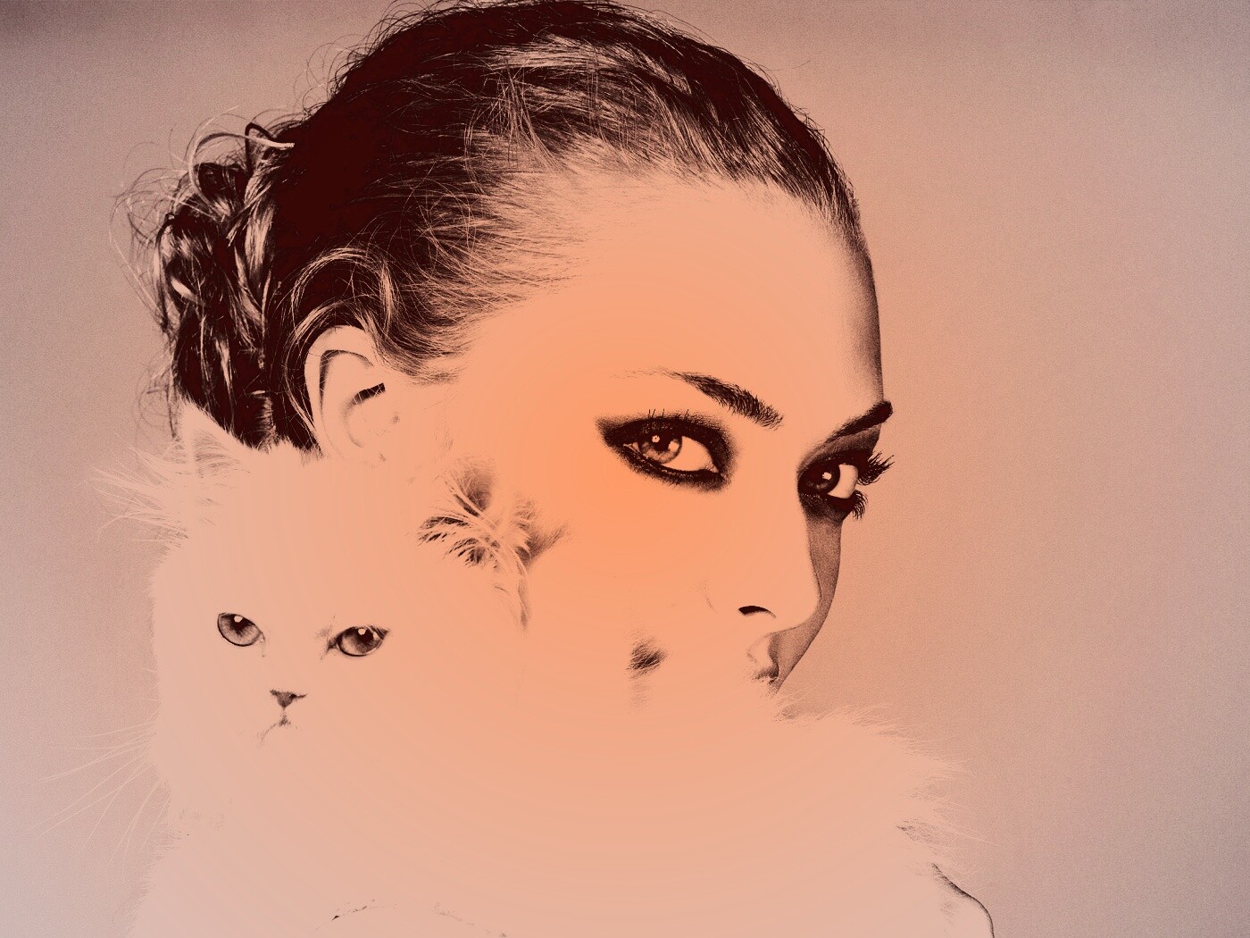 Девушка с кошкой обои