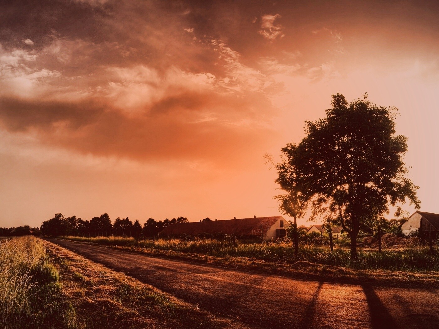 Закат на фоне дерева в HDR обои