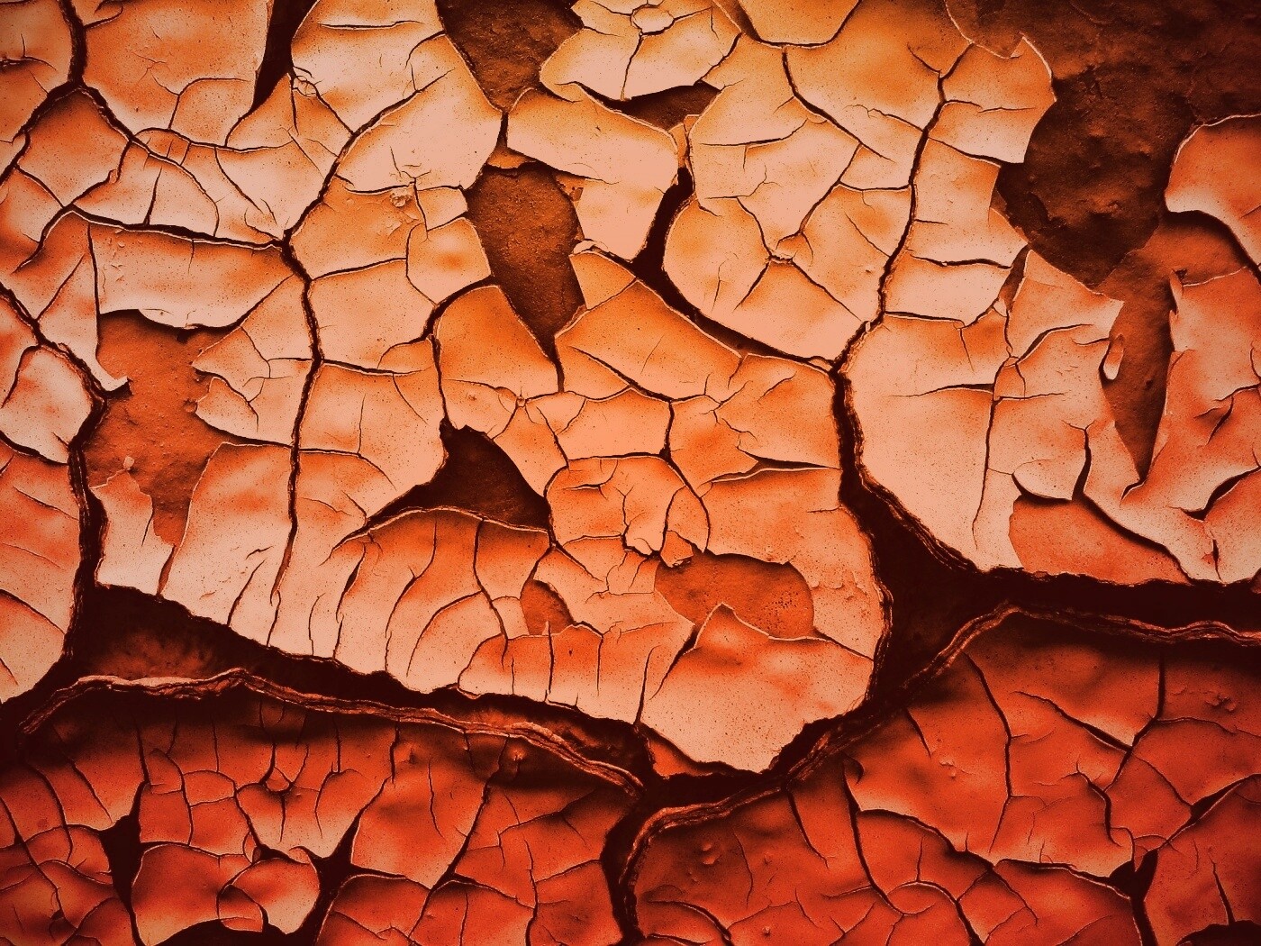 Растрескавшаяся краска обои