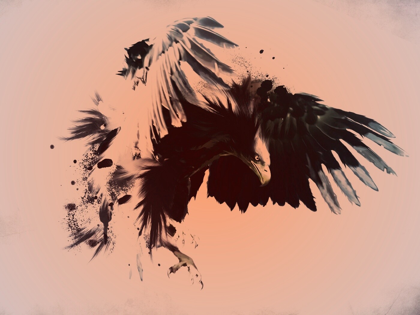 Скетч с орлом обои