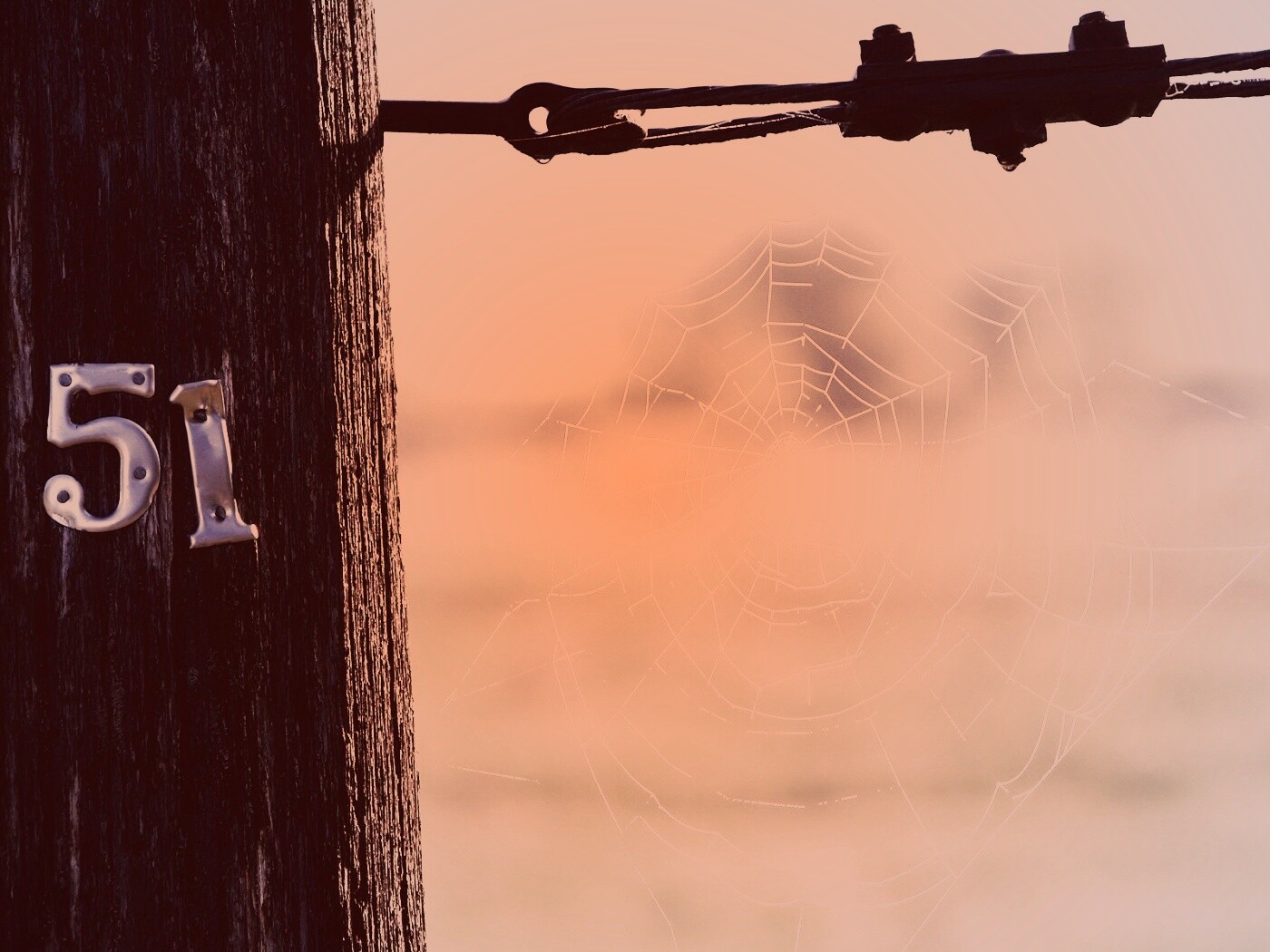 Паутина 51 обои