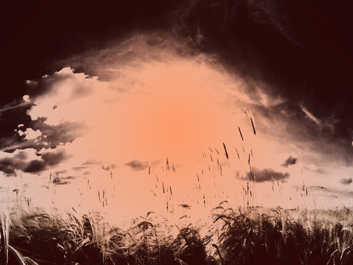 Сюрреалистичная трава обои