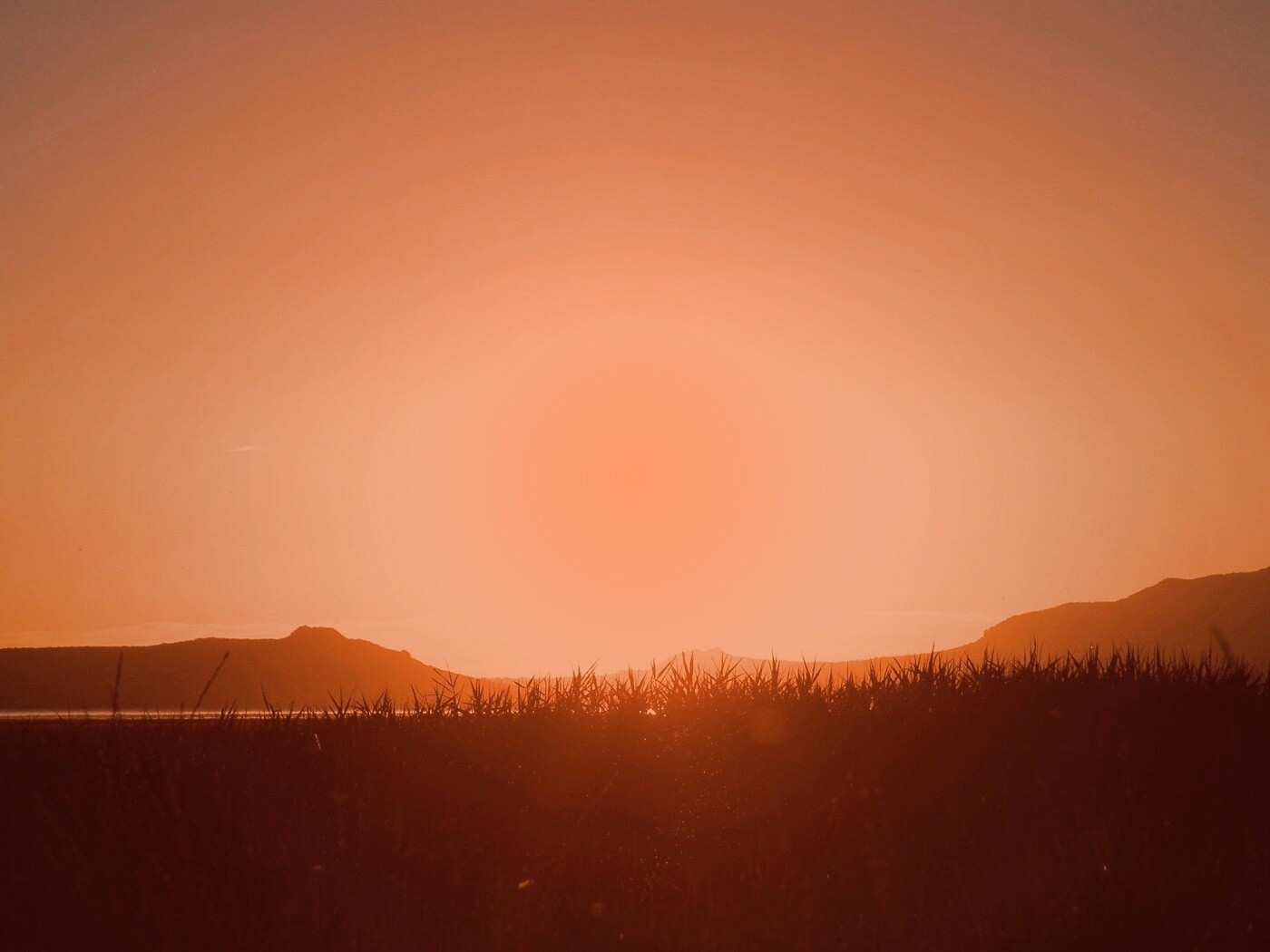 Сельский закат обои