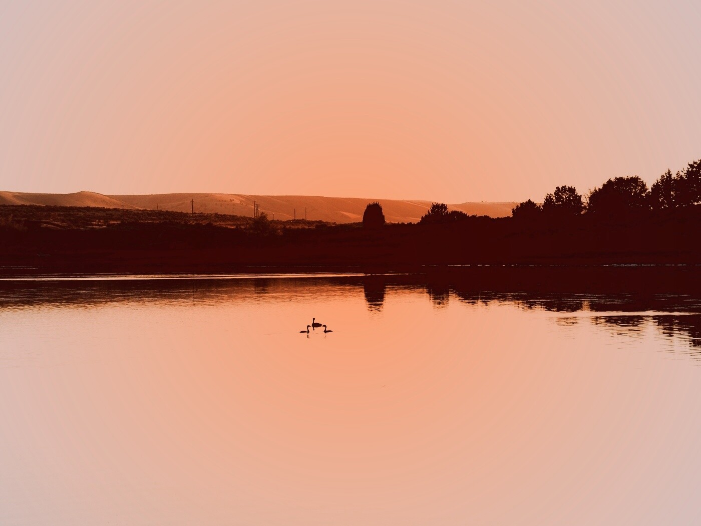 Утиное озеро обои