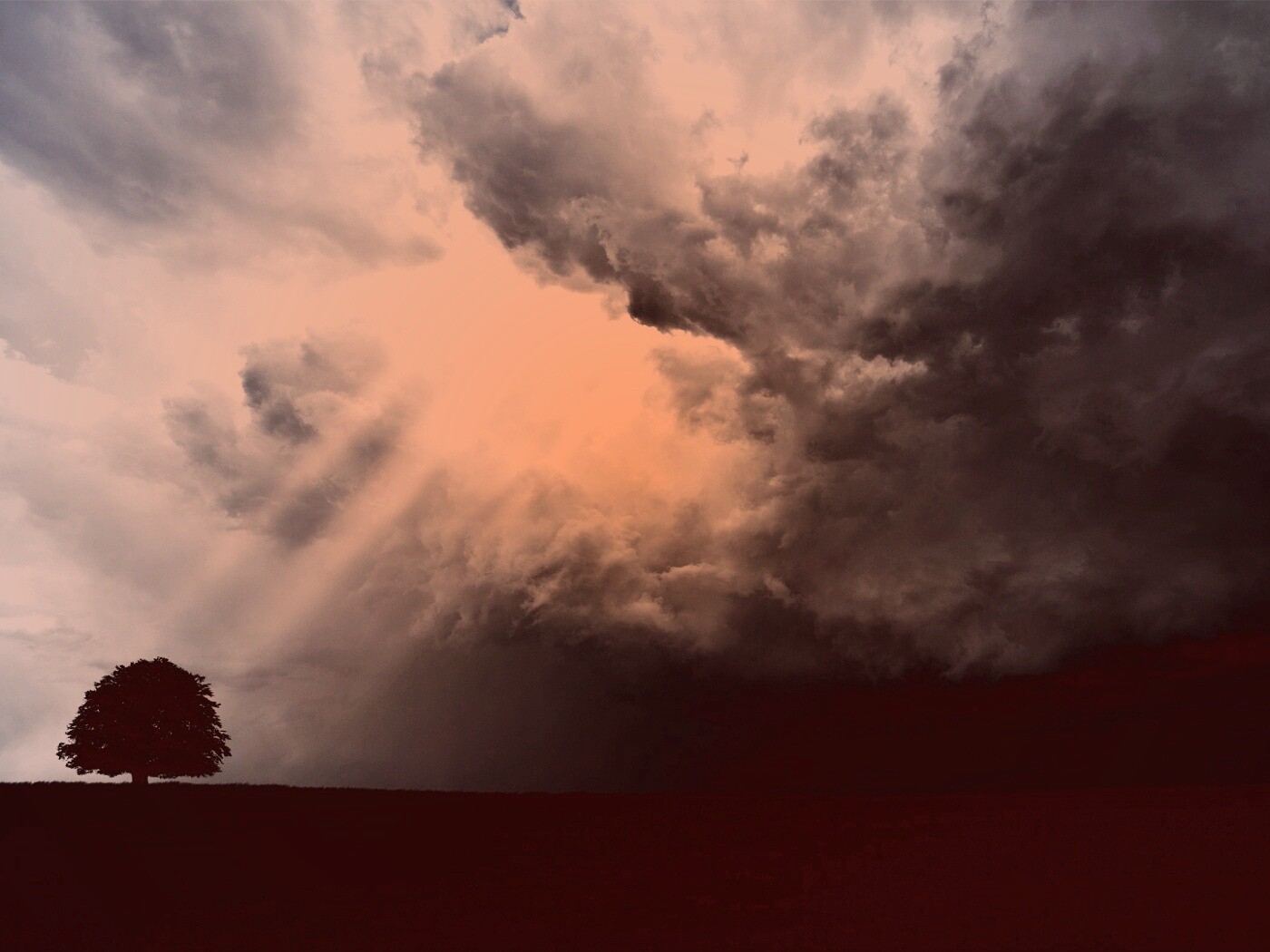 Избранный обои