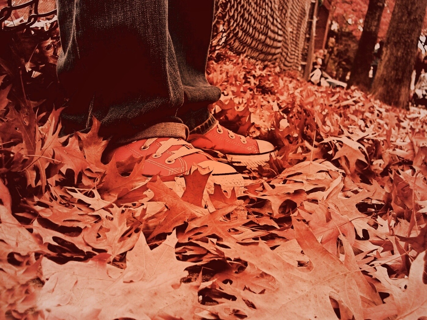 Оранжевые кеды обои