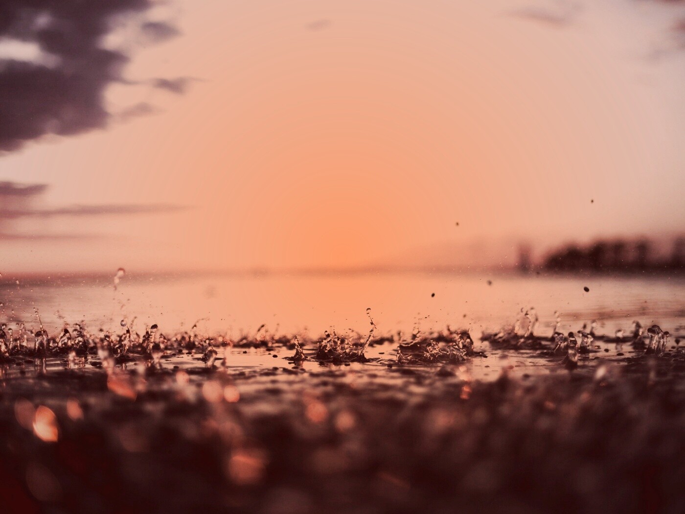 Дождь в макро обои