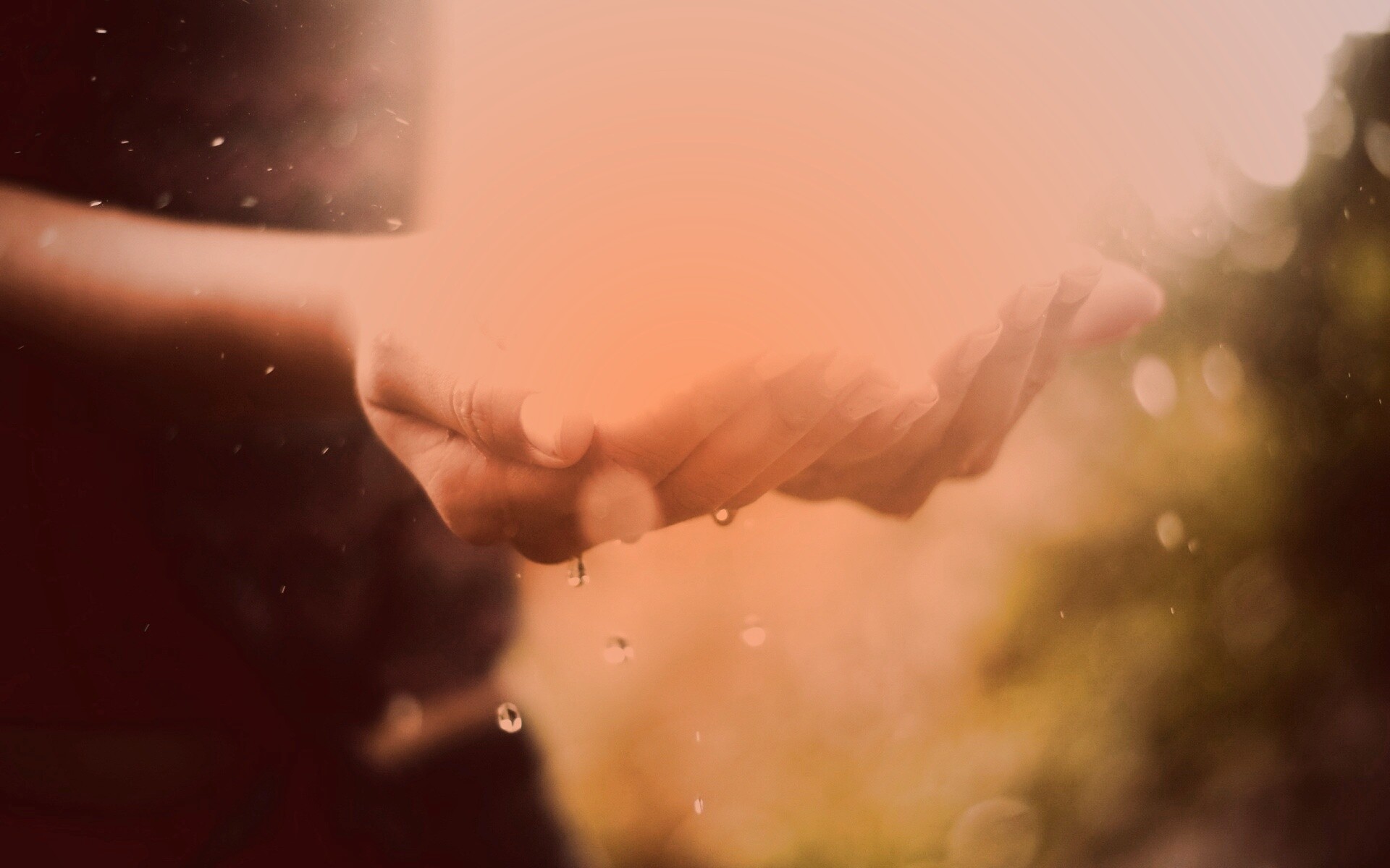 Дождь в ладонях обои