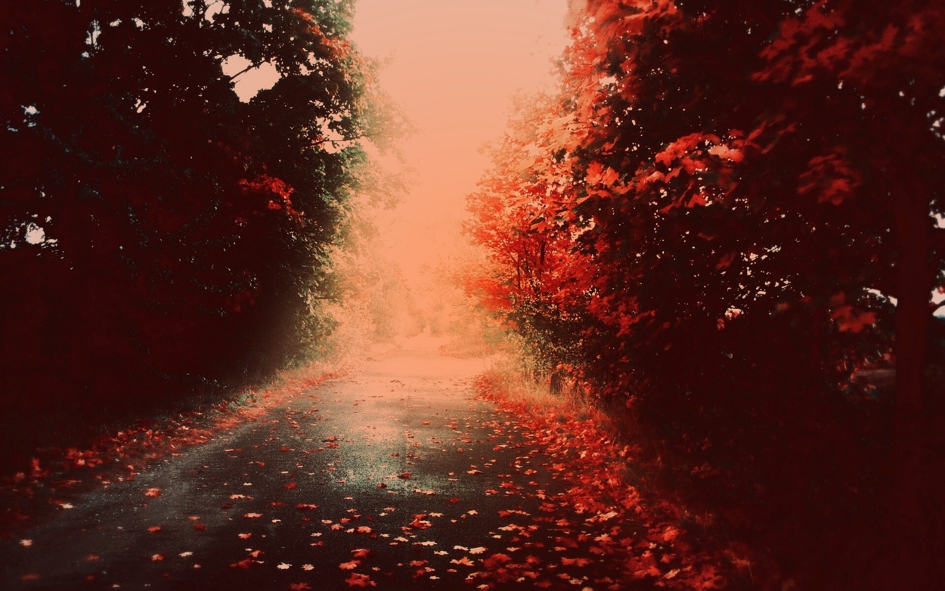 Желтая дорога обои