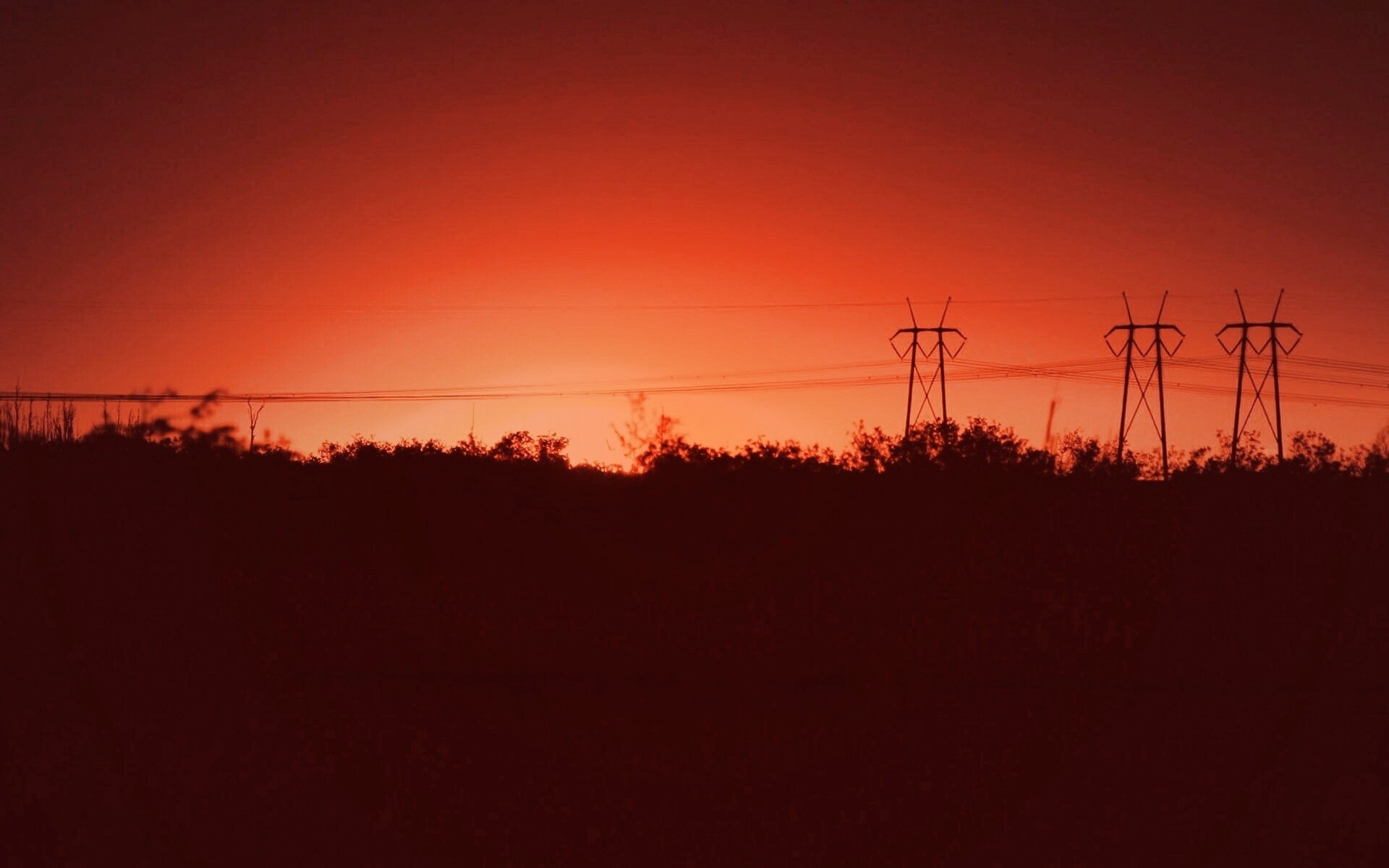 Закат за лесом обои