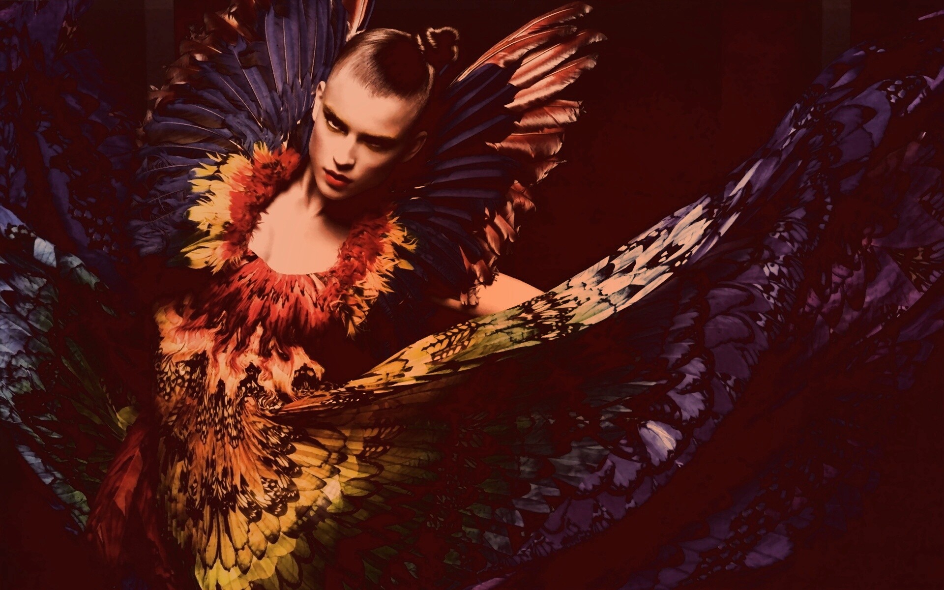 Костюм жар птицы обои