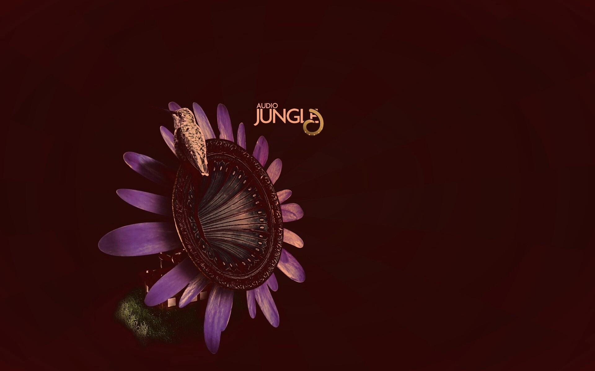 Звуки джунглей обои