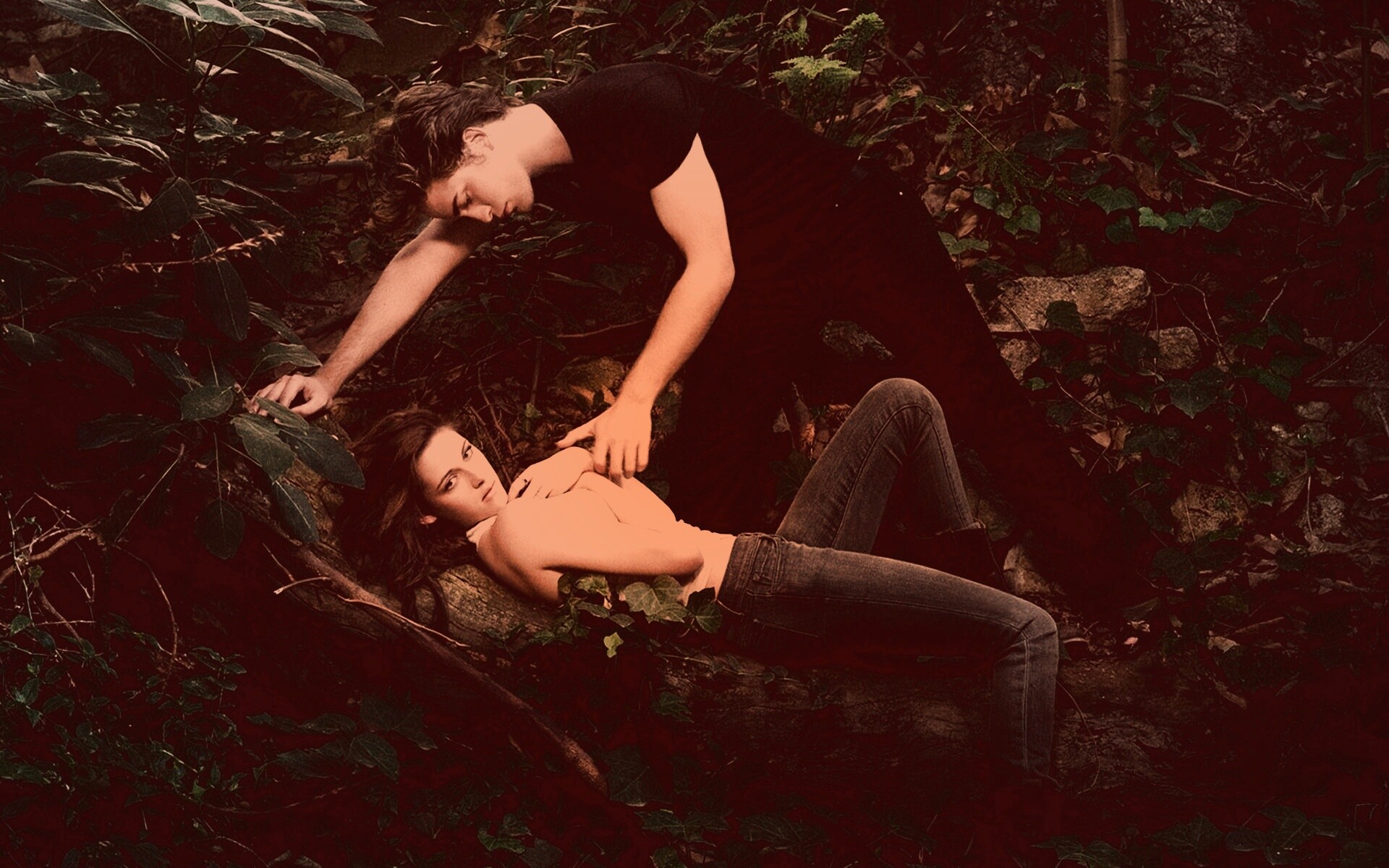 Эдвард и Белла в лесу обои