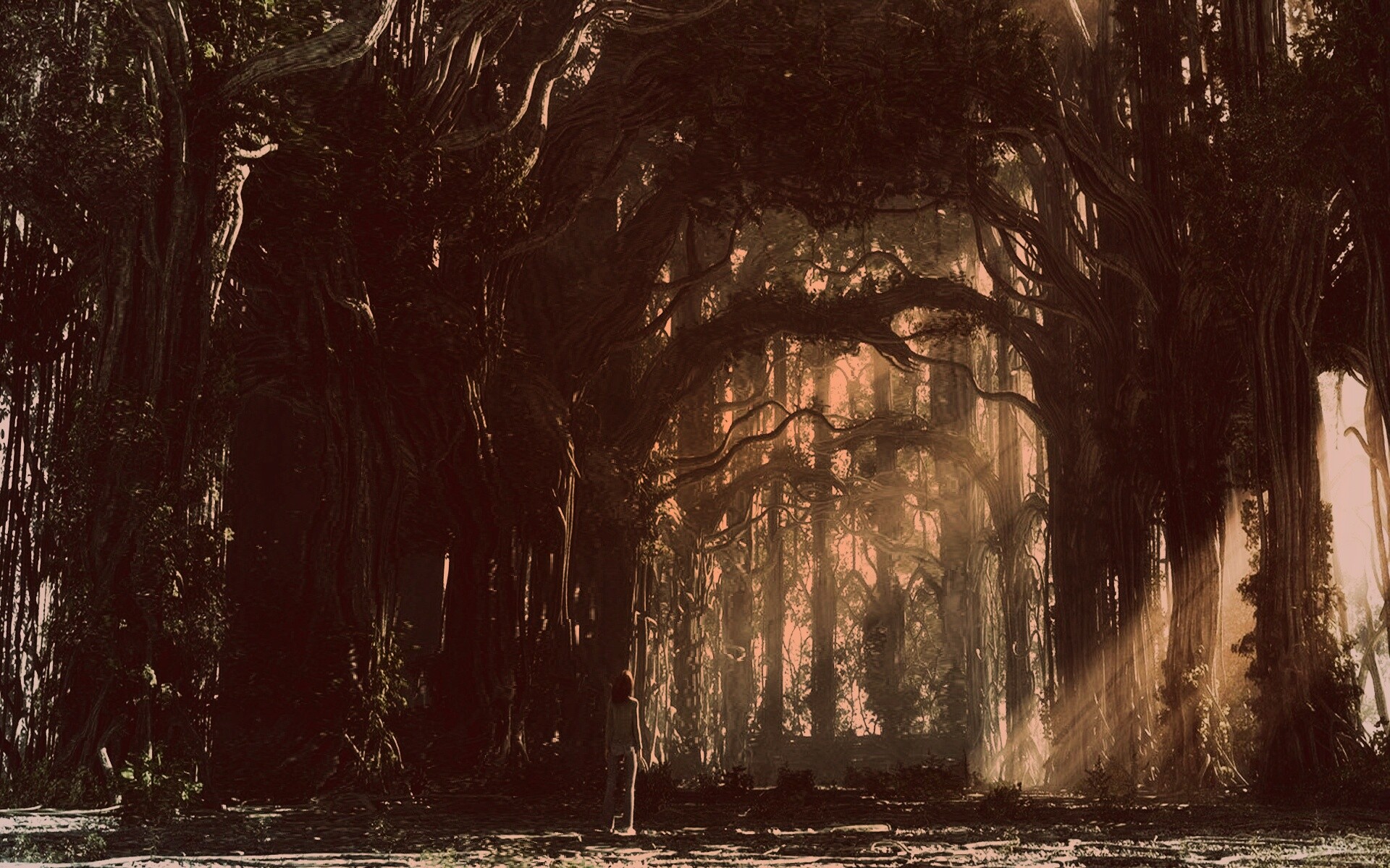 Одна в сумеречном лесу обои