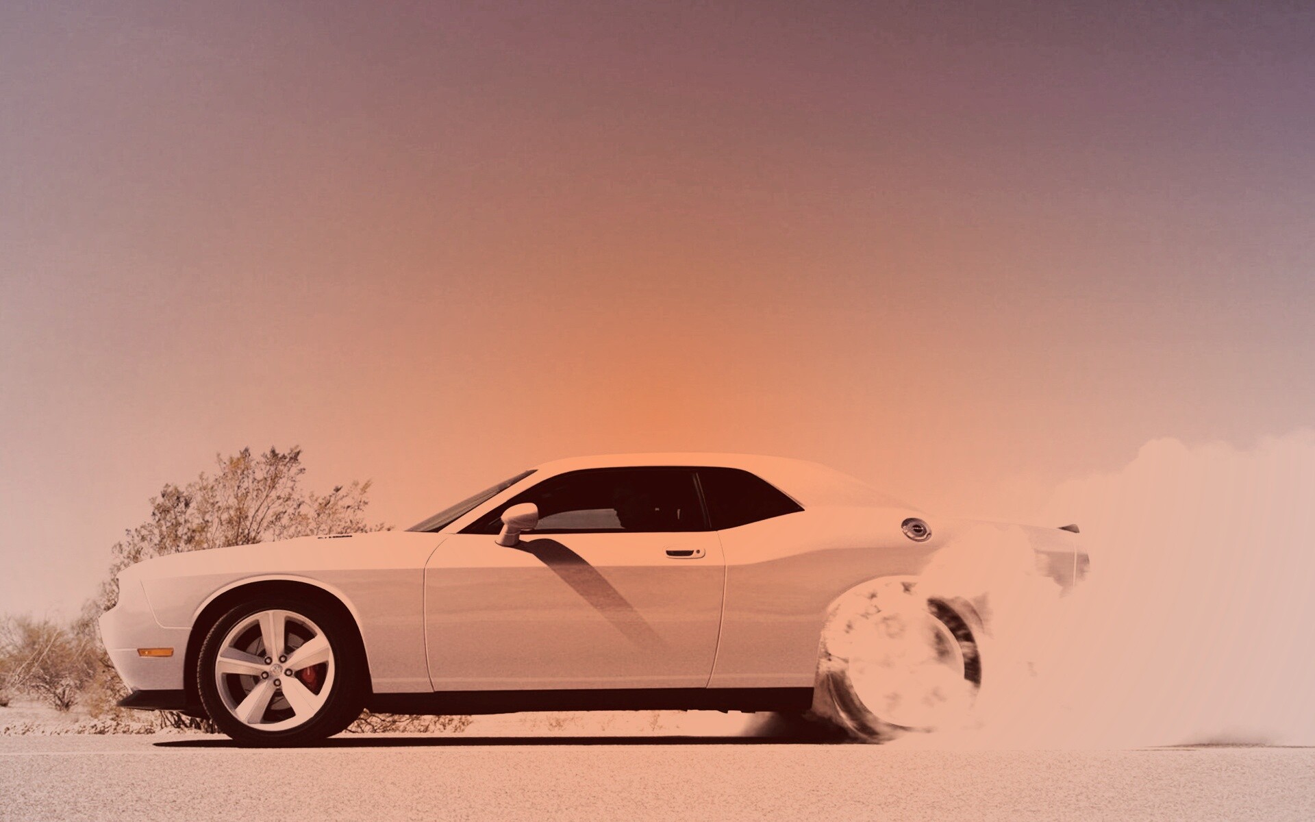 Стартующий Форд Мустанг обои