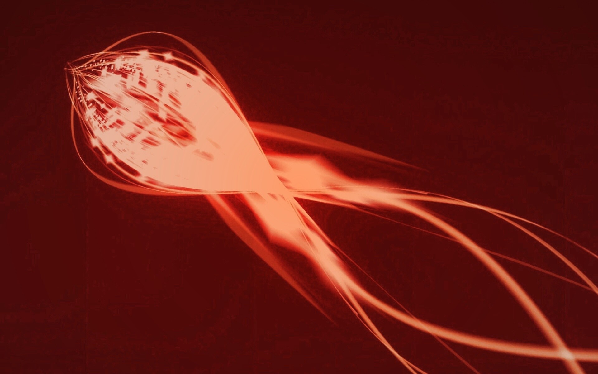 Сгусток красных линий обои