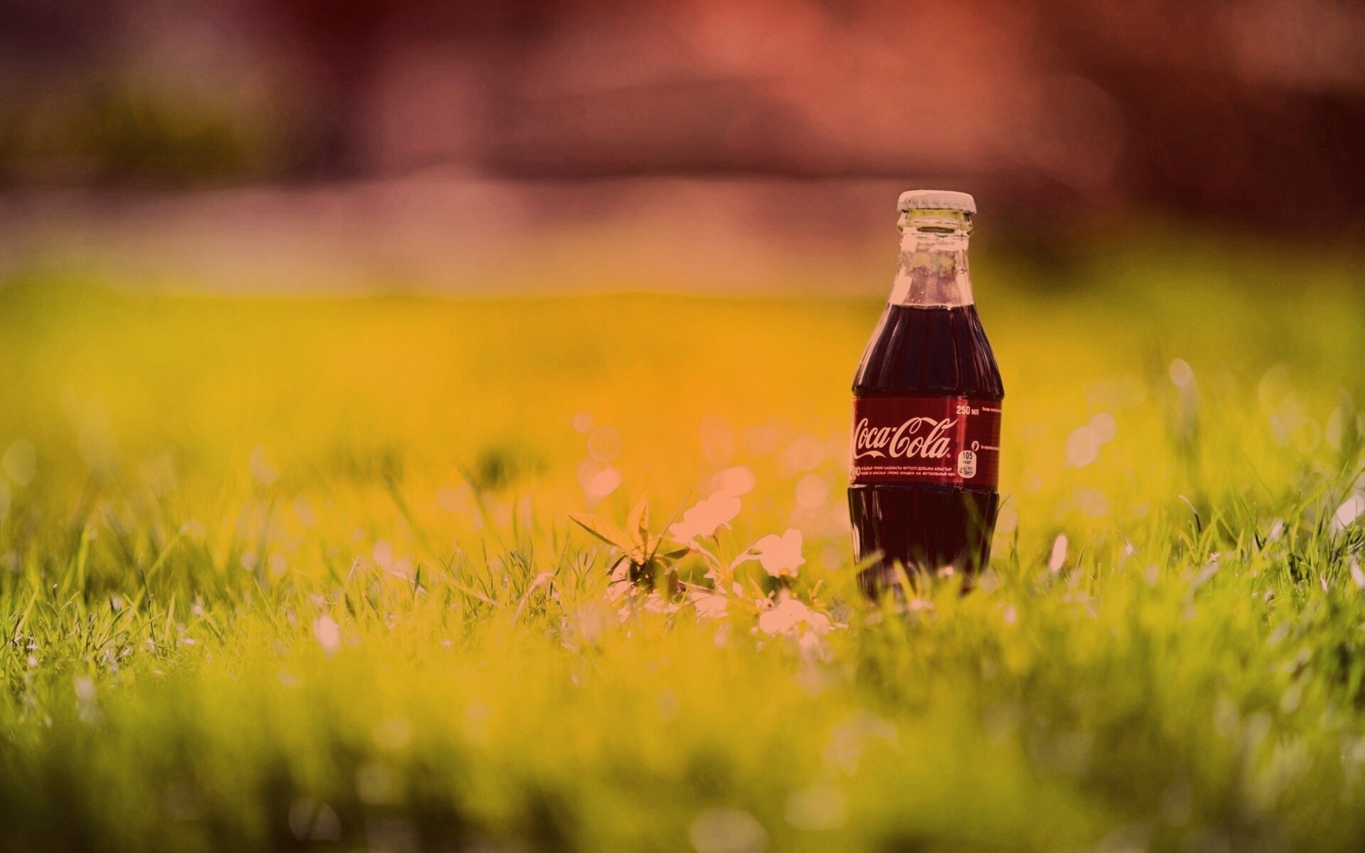 Кока-Кола на траве обои