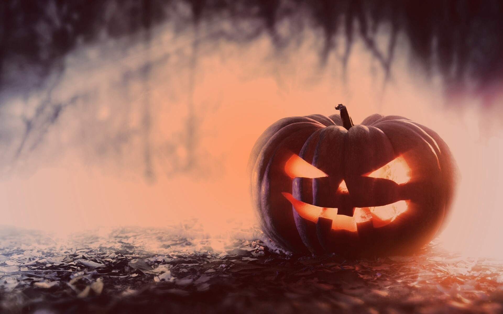 Хэллоуинская тыква обои