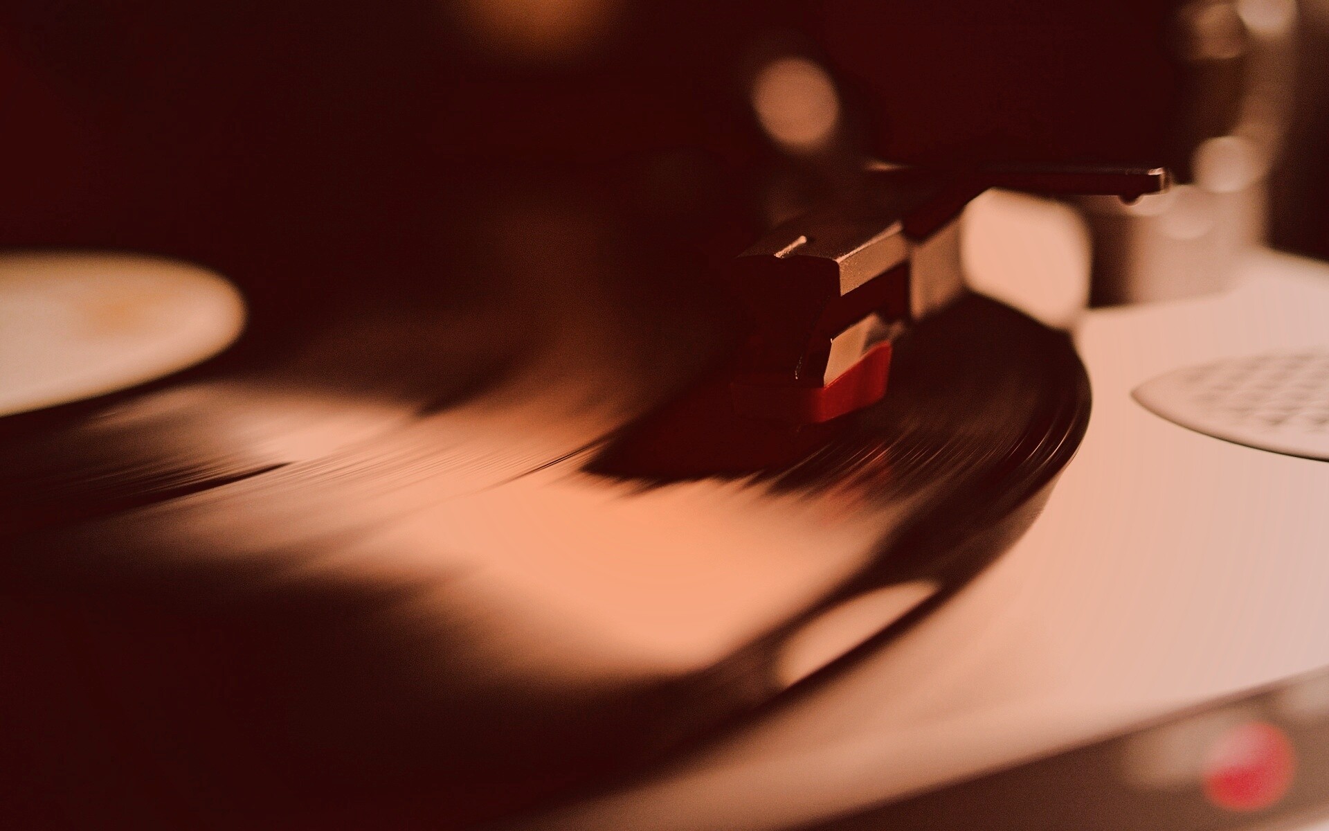 Пластинка обои