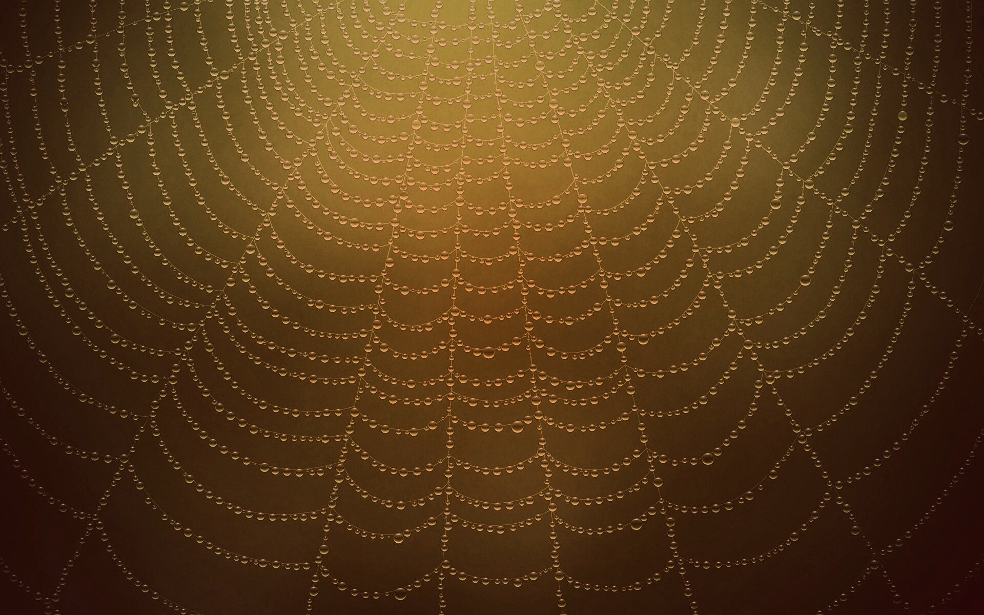 Роса на паутине обои
