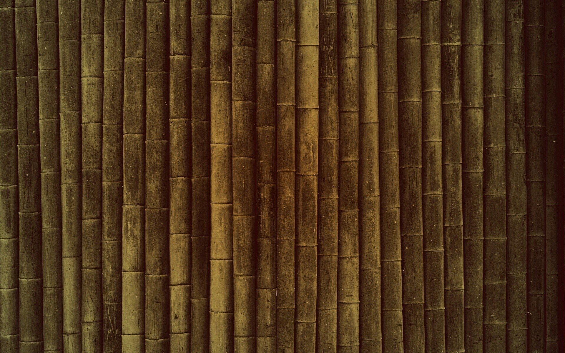 Бамбук обои