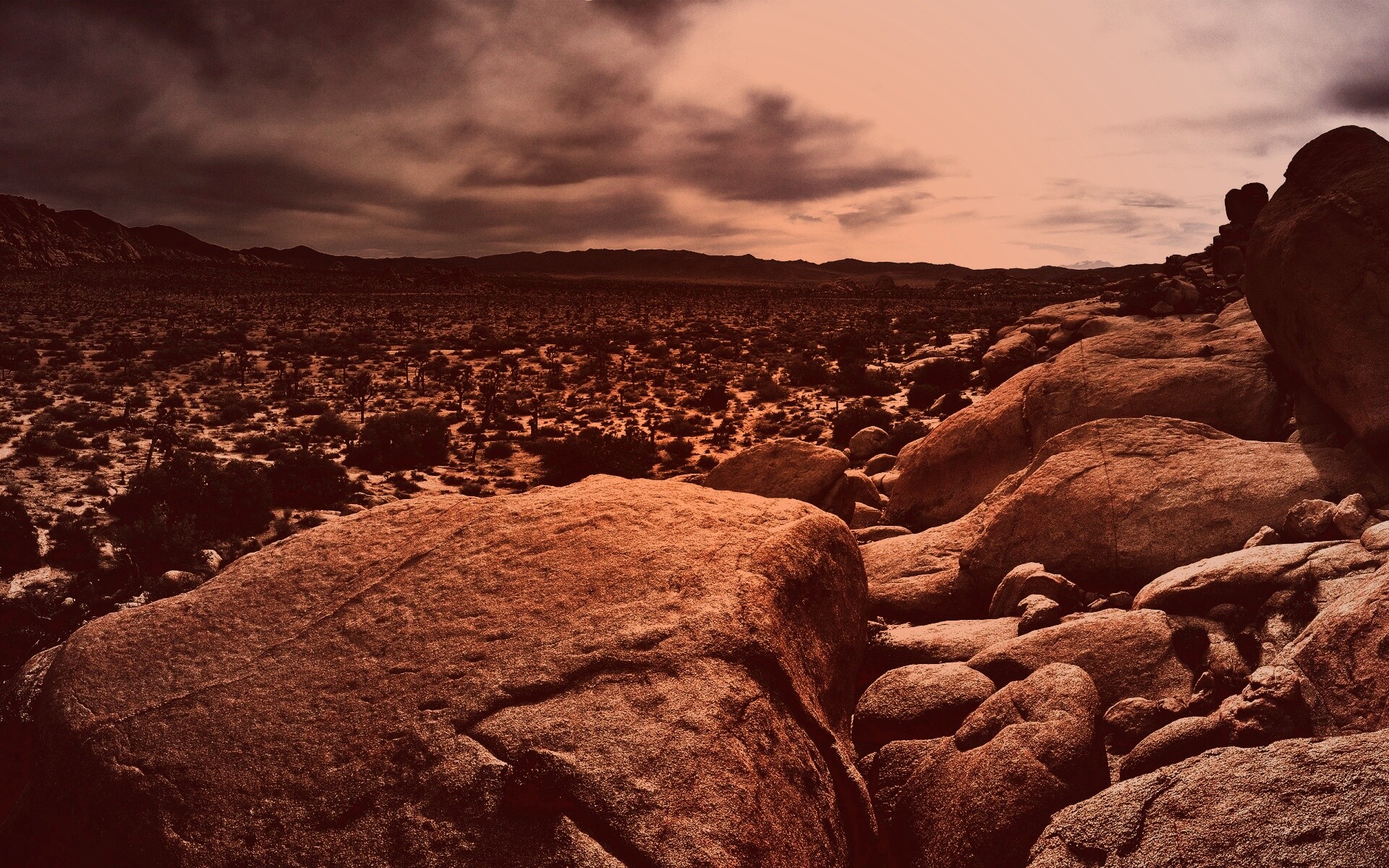 Пустыня Мохаве обои