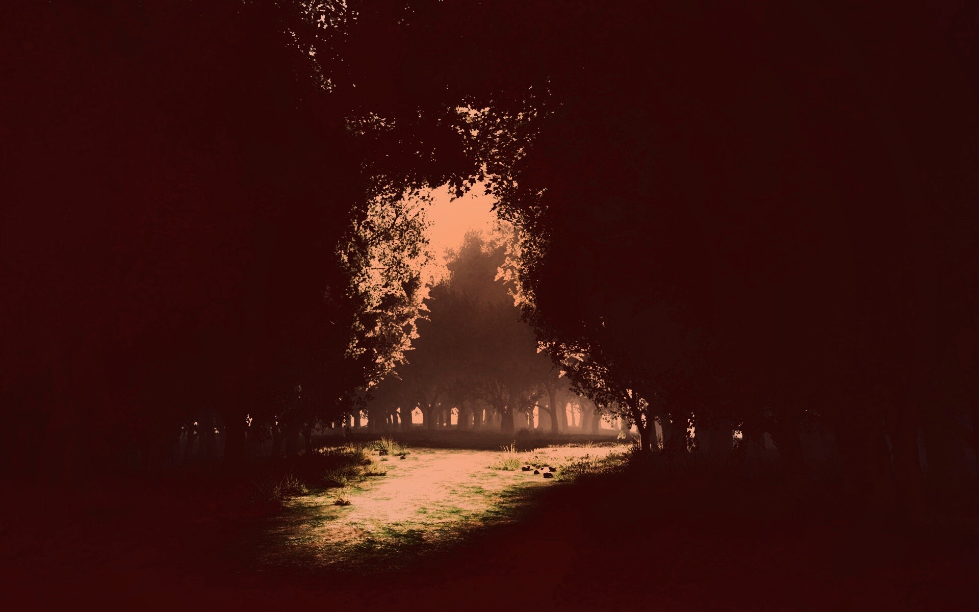 Сумерки в волшебном лесу обои