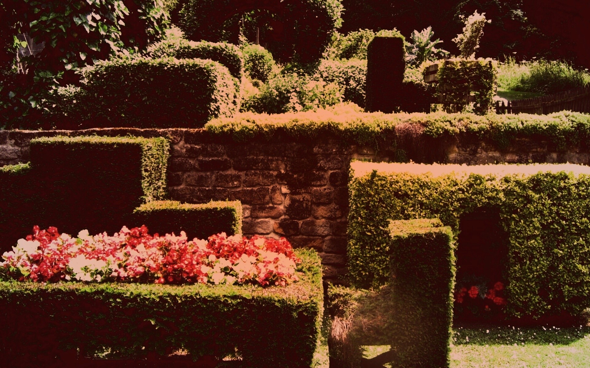 Декоративный сад обои