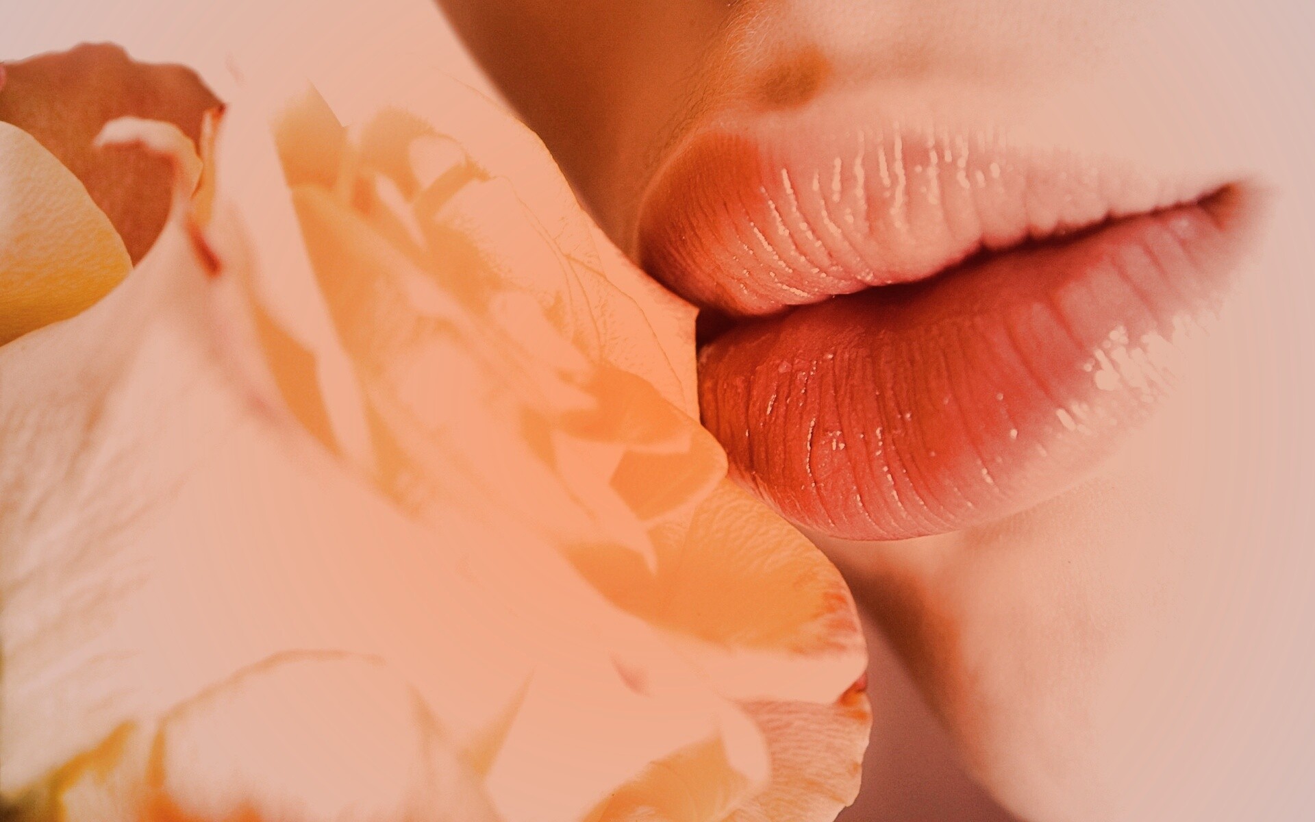 Губы девушки и роза обои