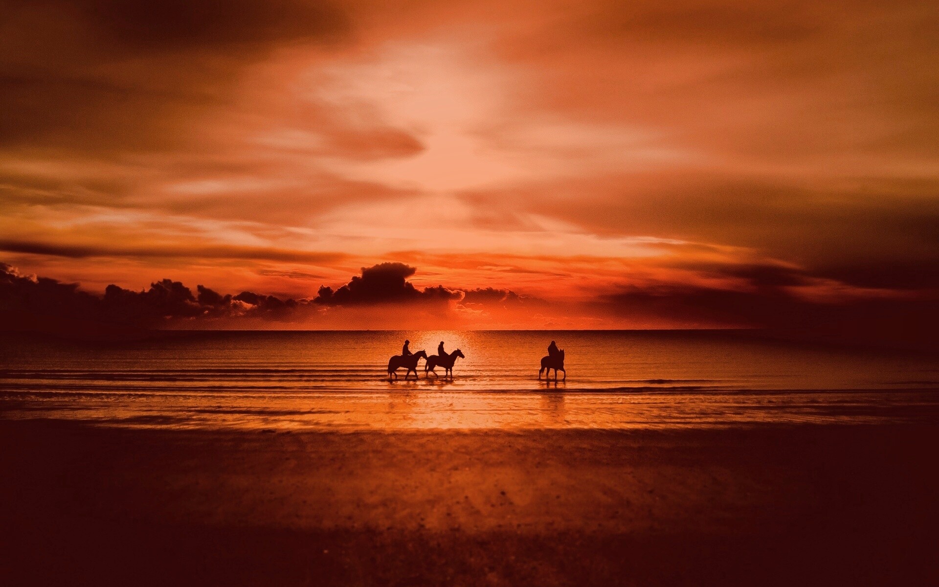 Наездники на закате обои