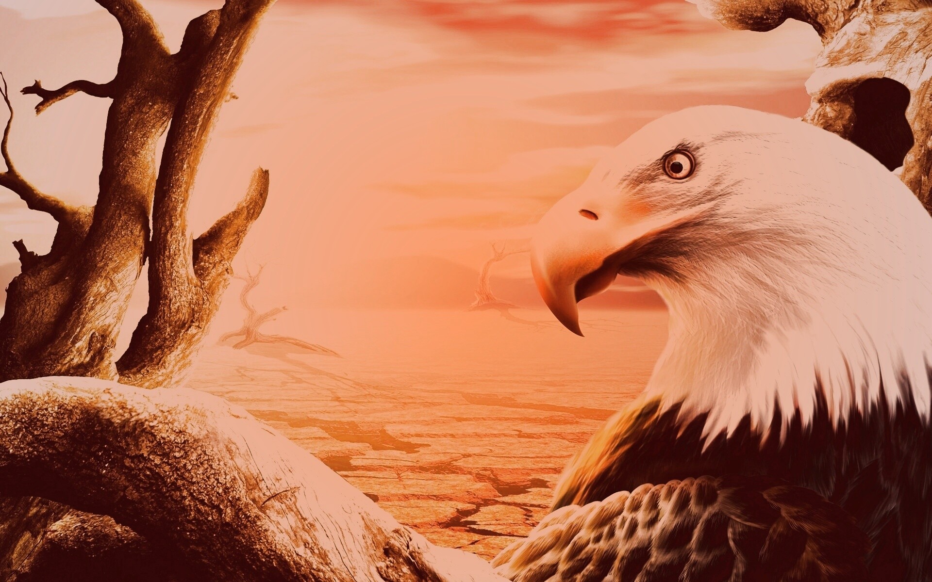 Нарисованный орел обои