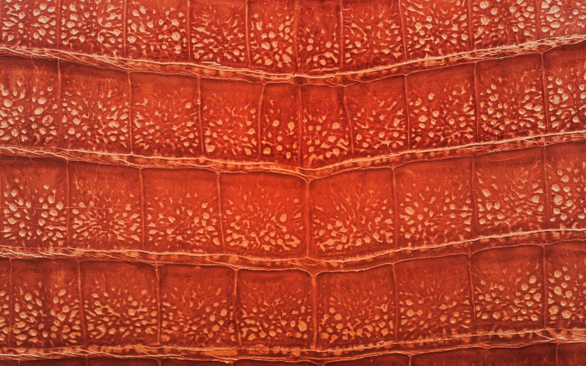 Текстура крокодильей кожи обои