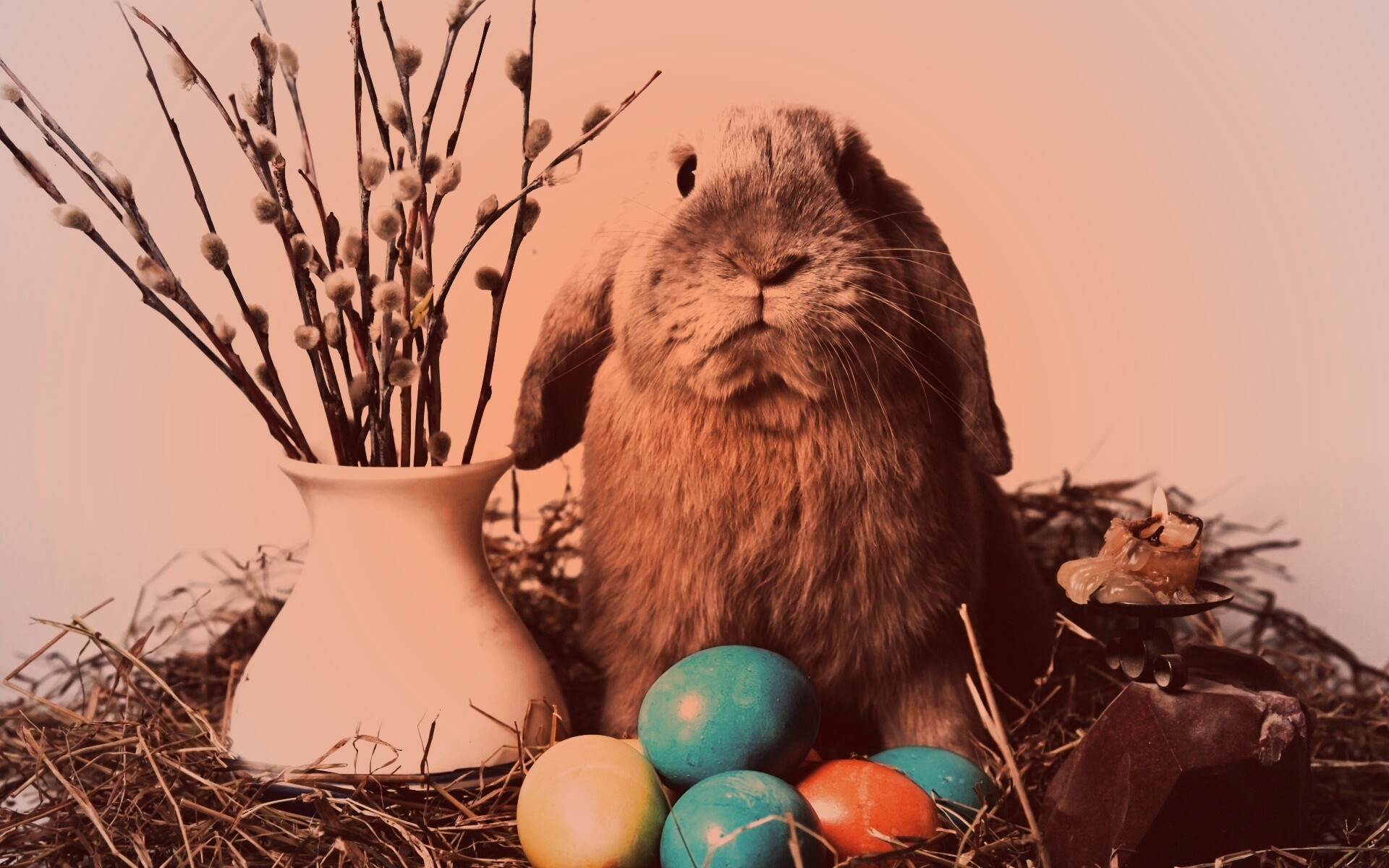 Пасхальный кролик обои