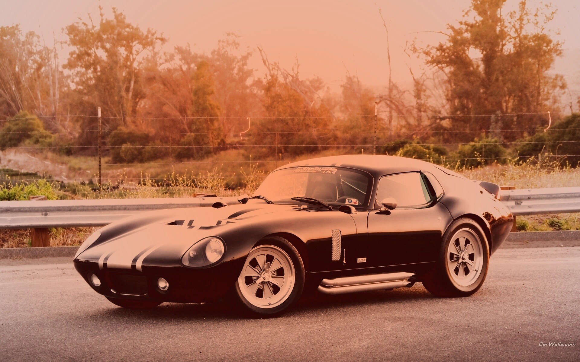 Shelby Daytona обои