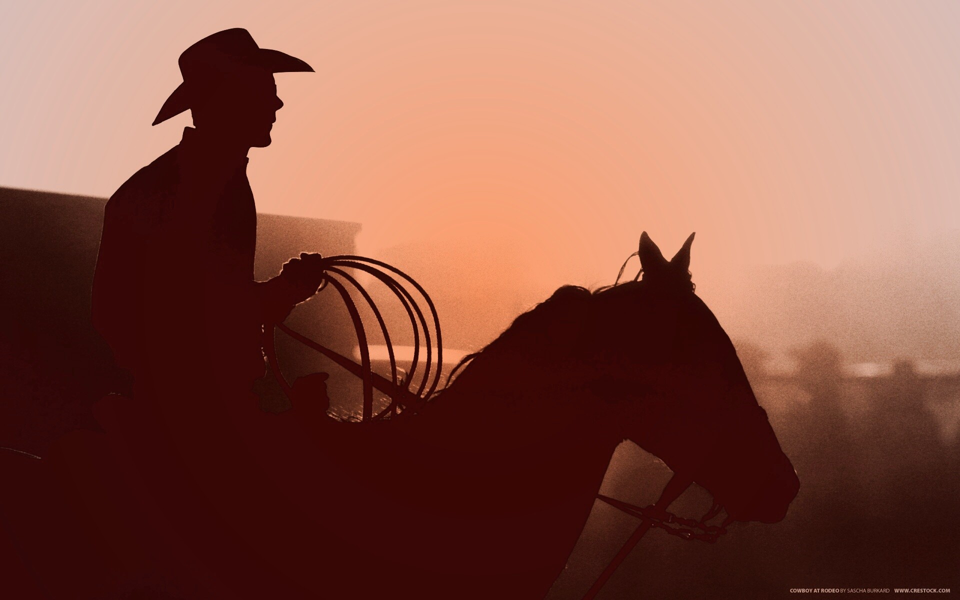 Ковбой с лассо на коне обои
